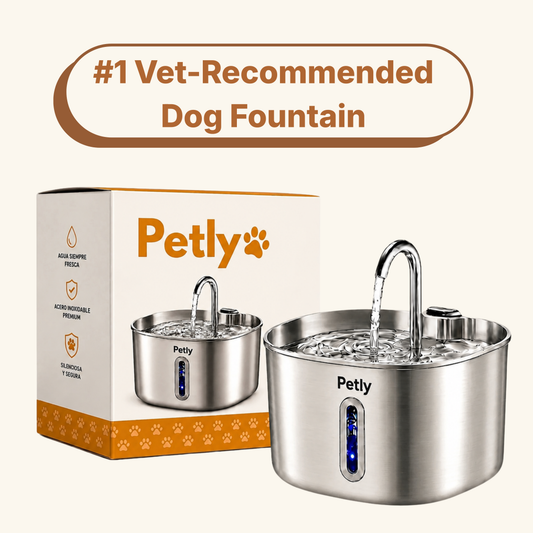 Petly - Automatic Stainless Steel Fountain